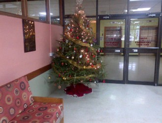 Tree donated to the Children's Ward at the QEH.